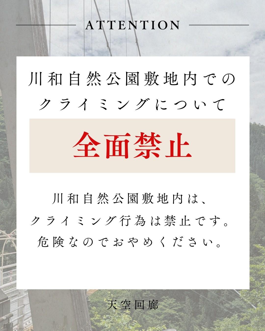 最新情報画像