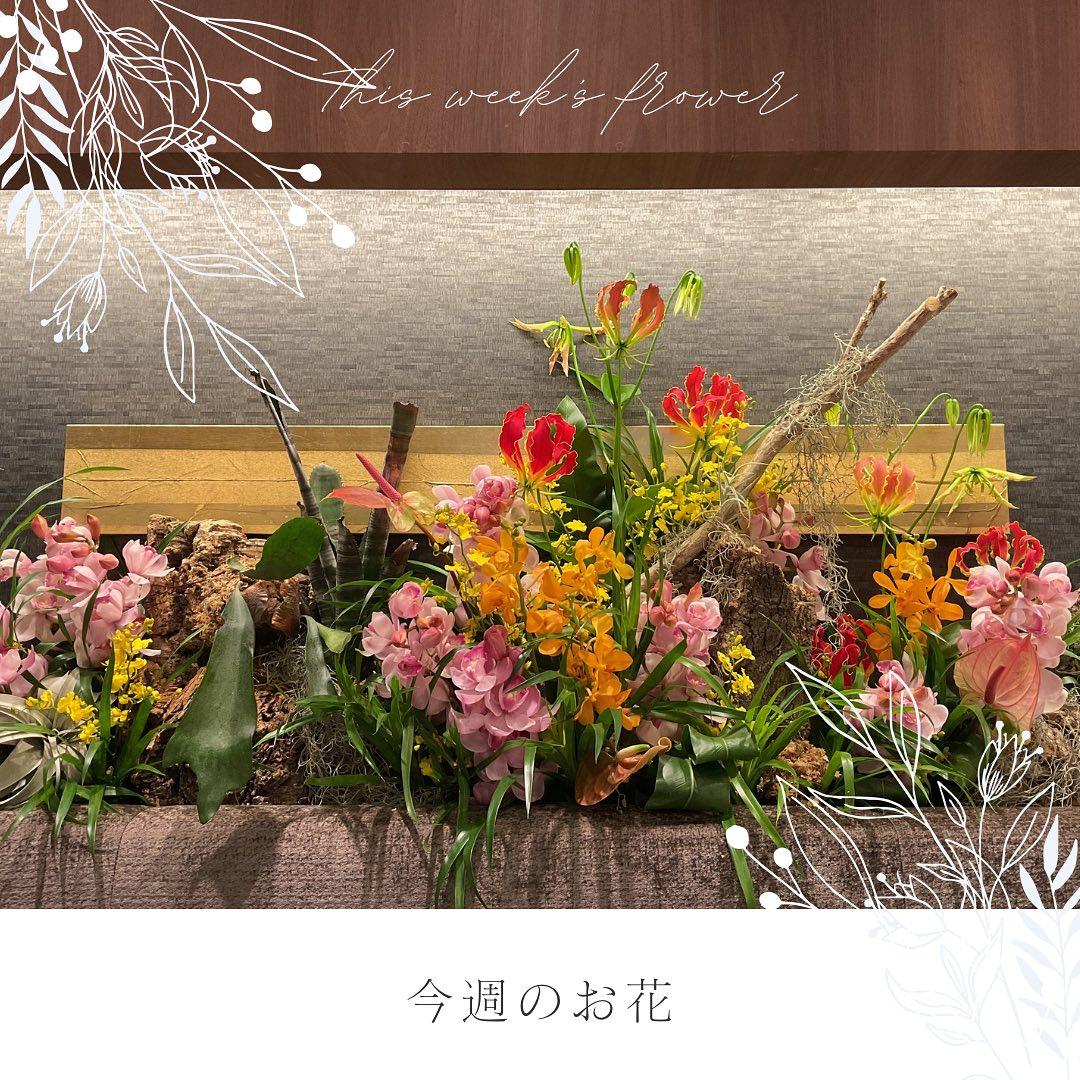 最新情報画像