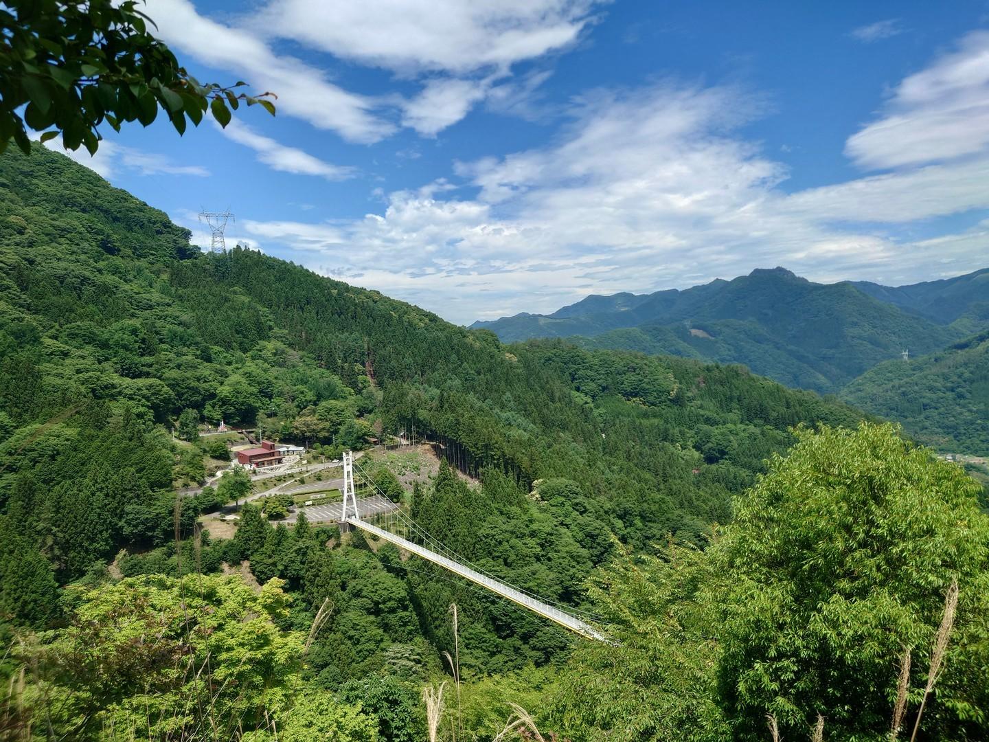 最新情報画像