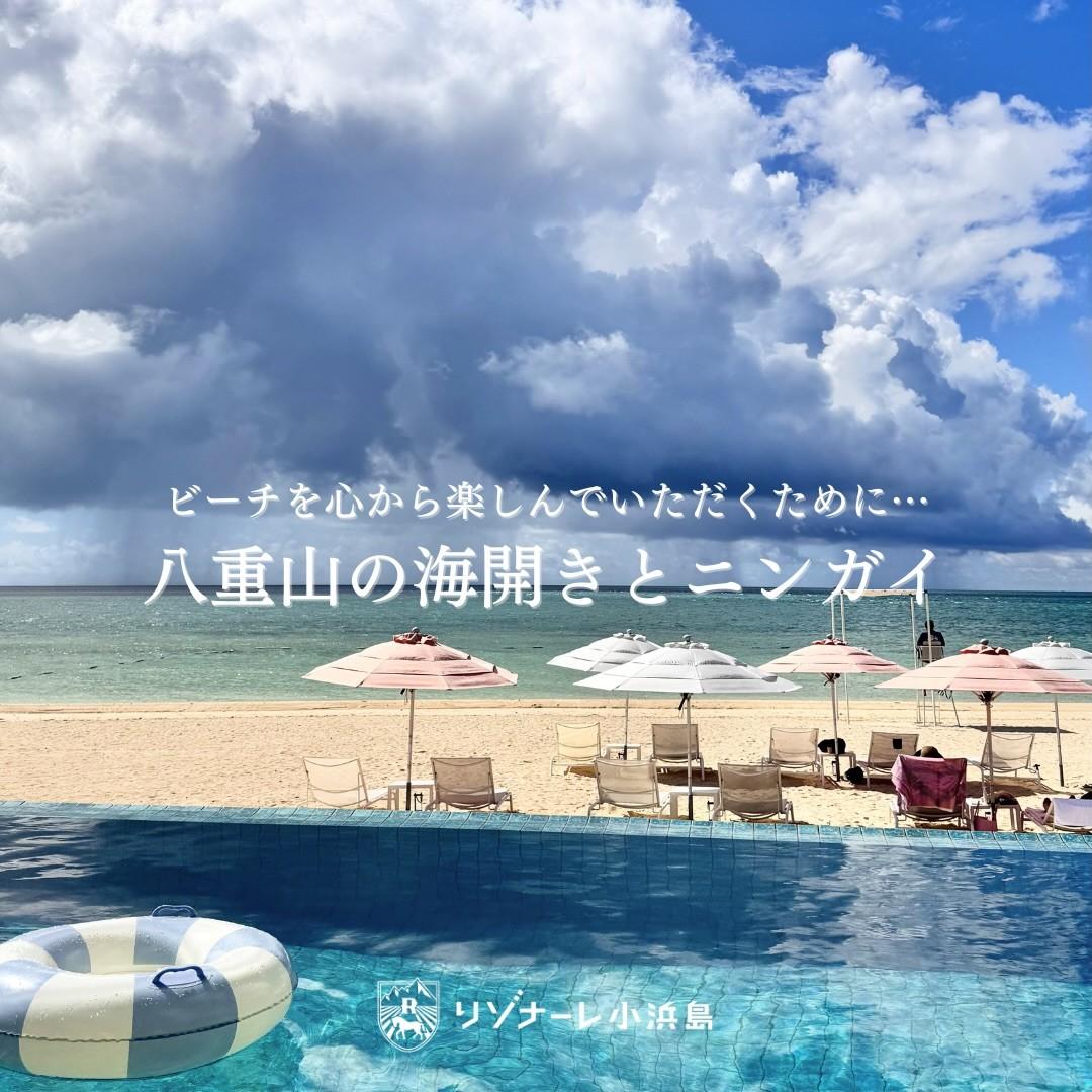 最新情報画像