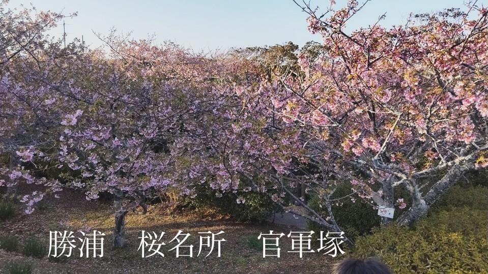 最新情報画像
