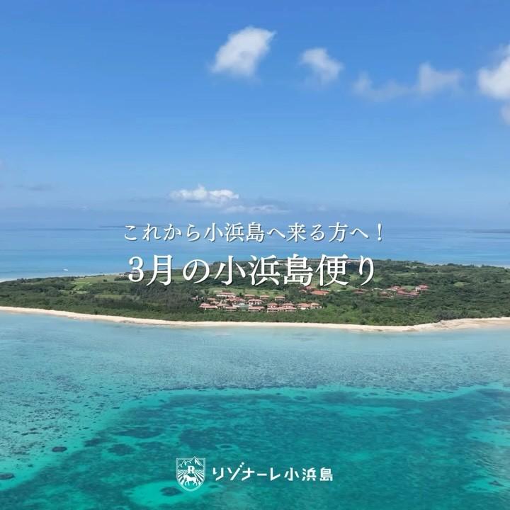 最新情報画像