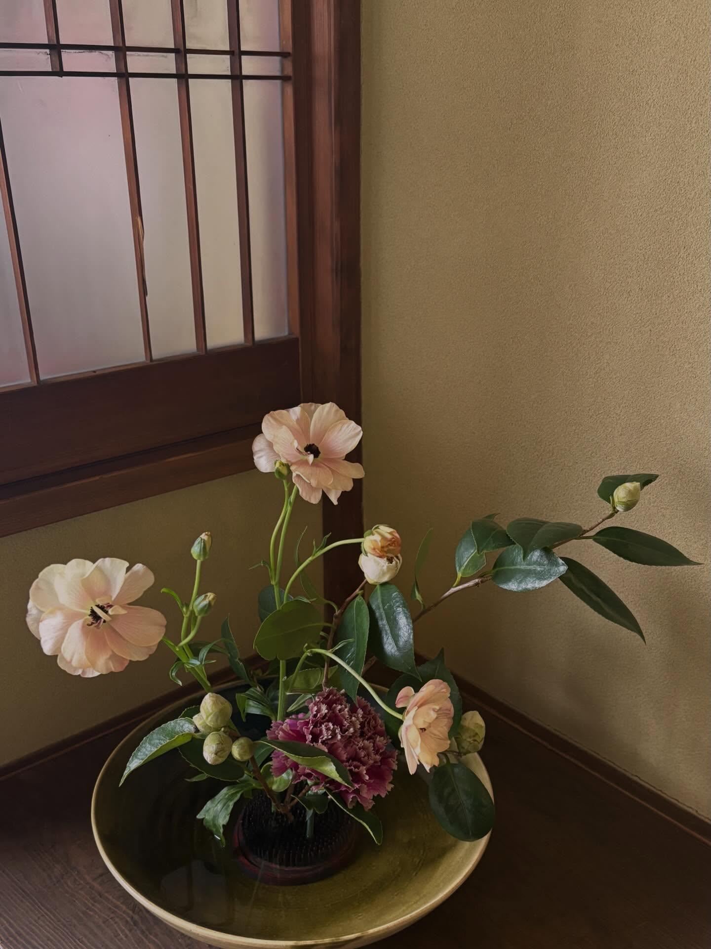 最新情報画像