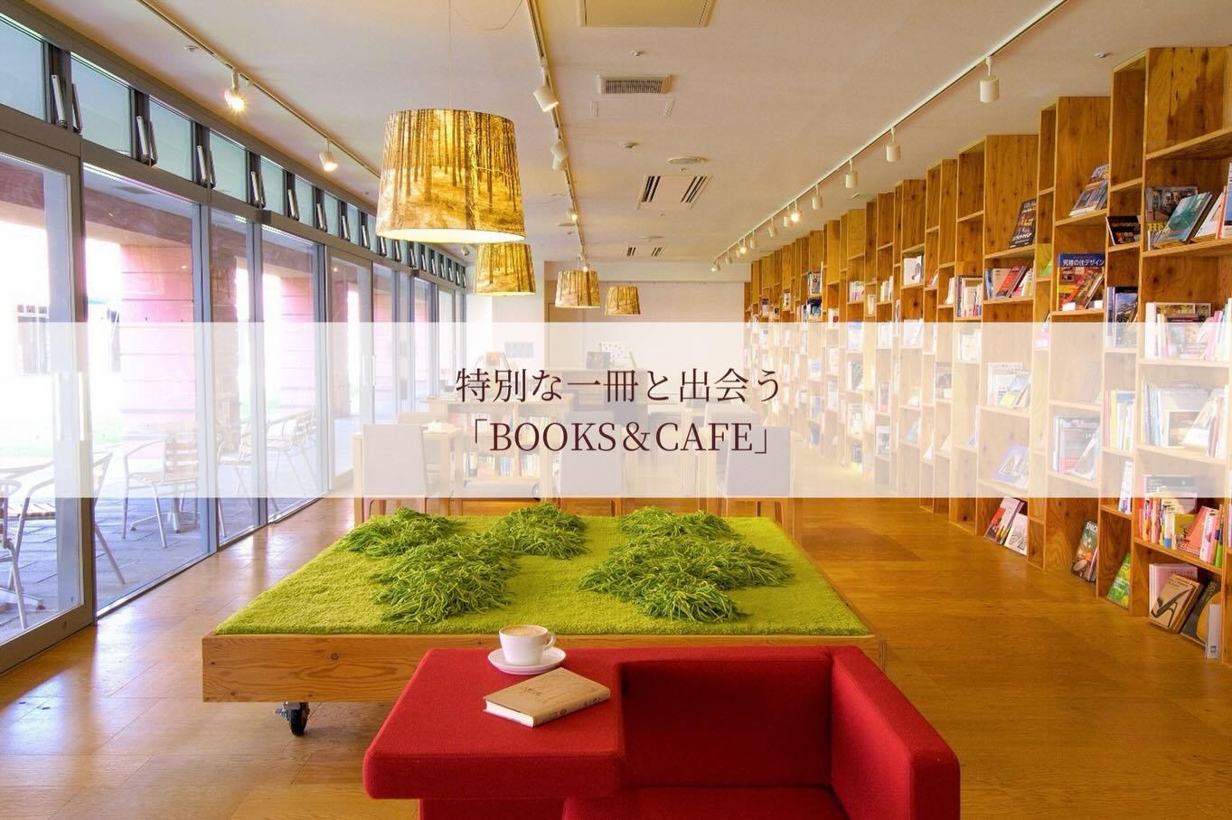 最新情報画像