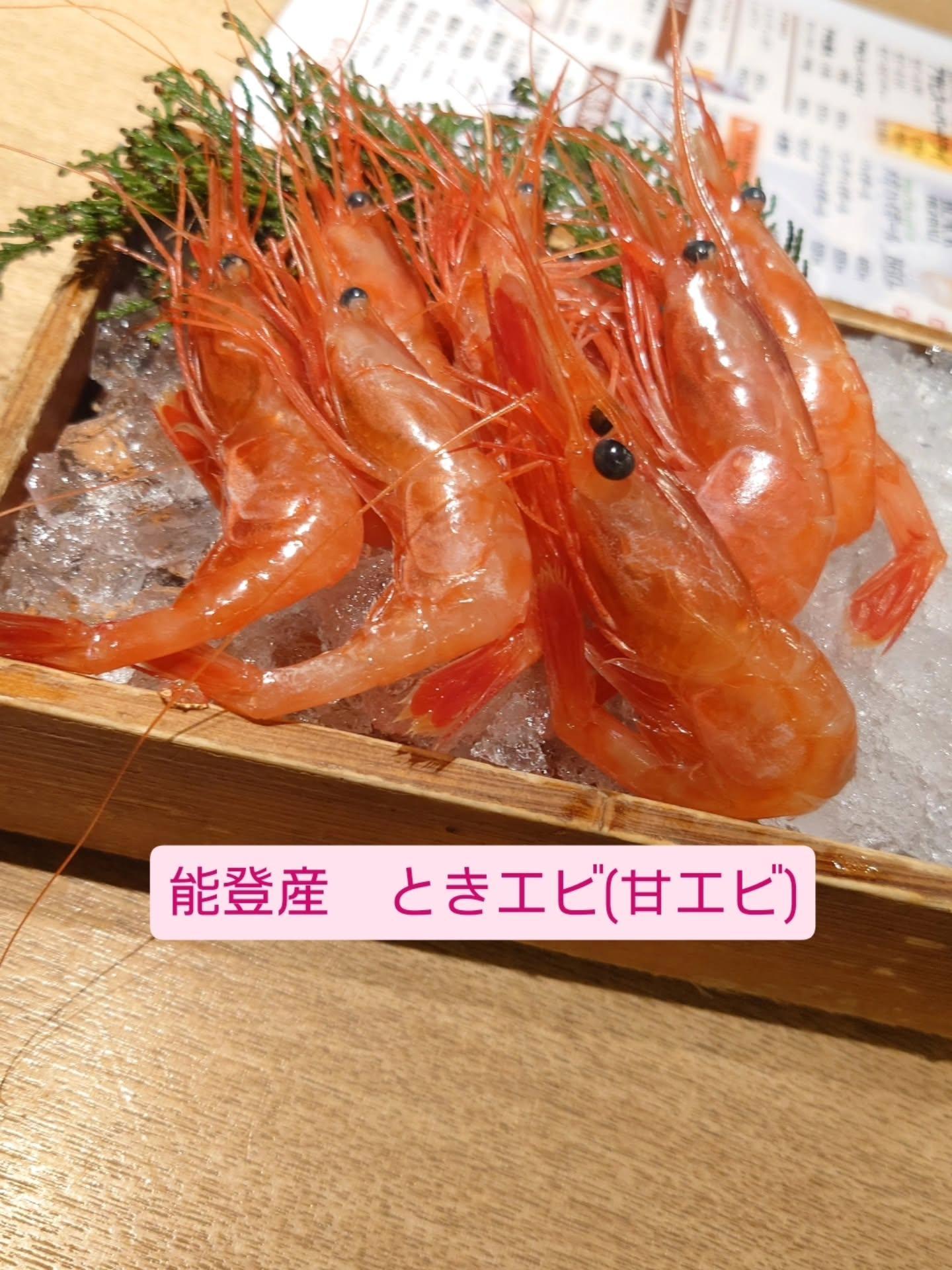 最新情報画像