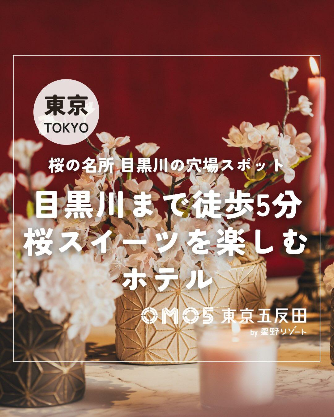 最新情報画像