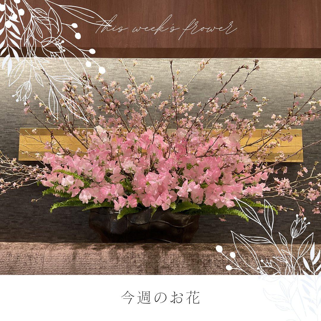 最新情報画像