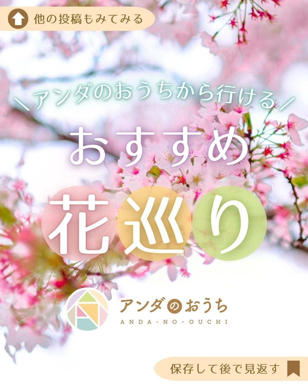 最新情報画像