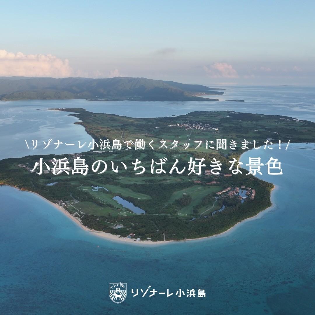 最新情報画像