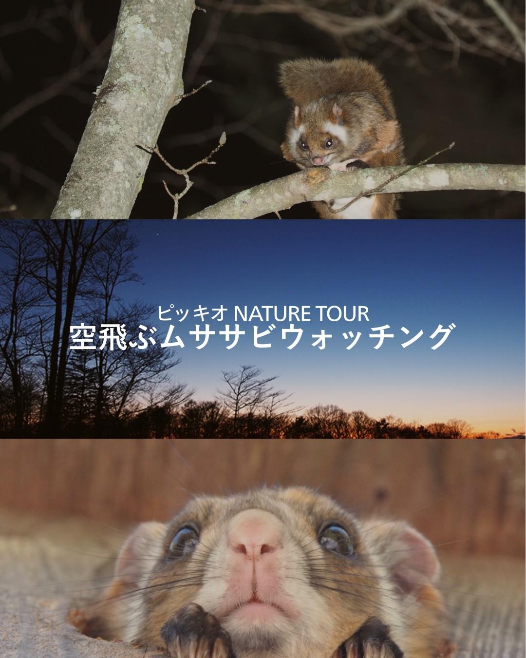最新情報画像