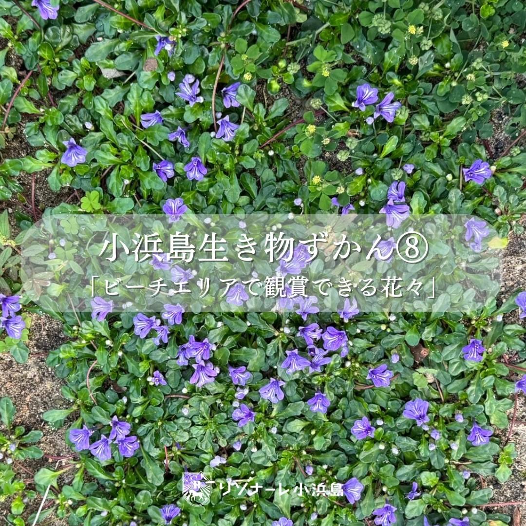 最新情報画像