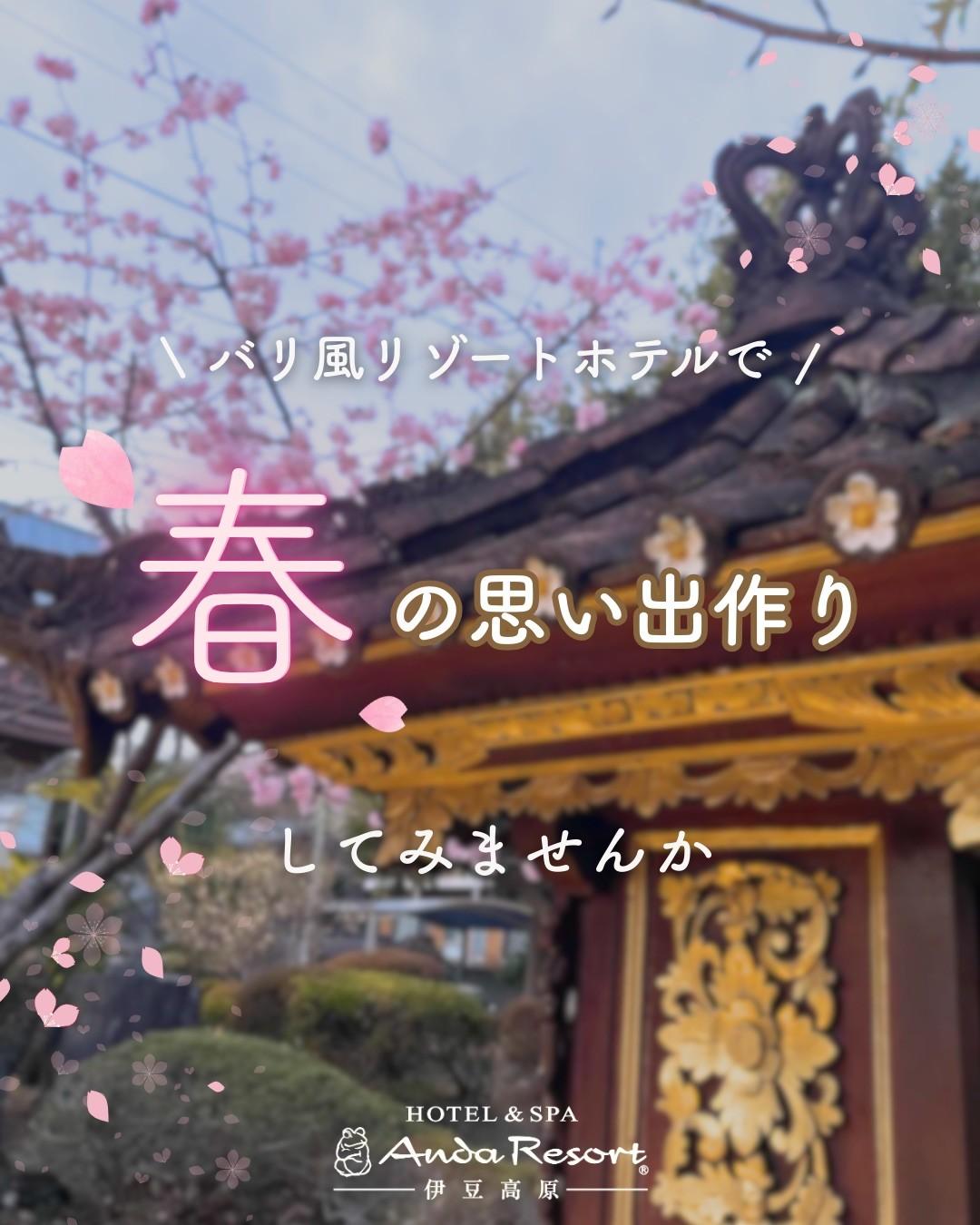 最新情報画像
