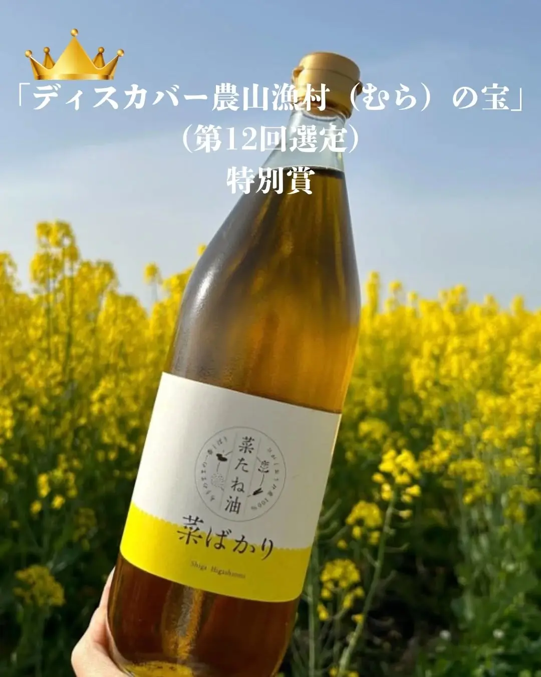 最新情報画像