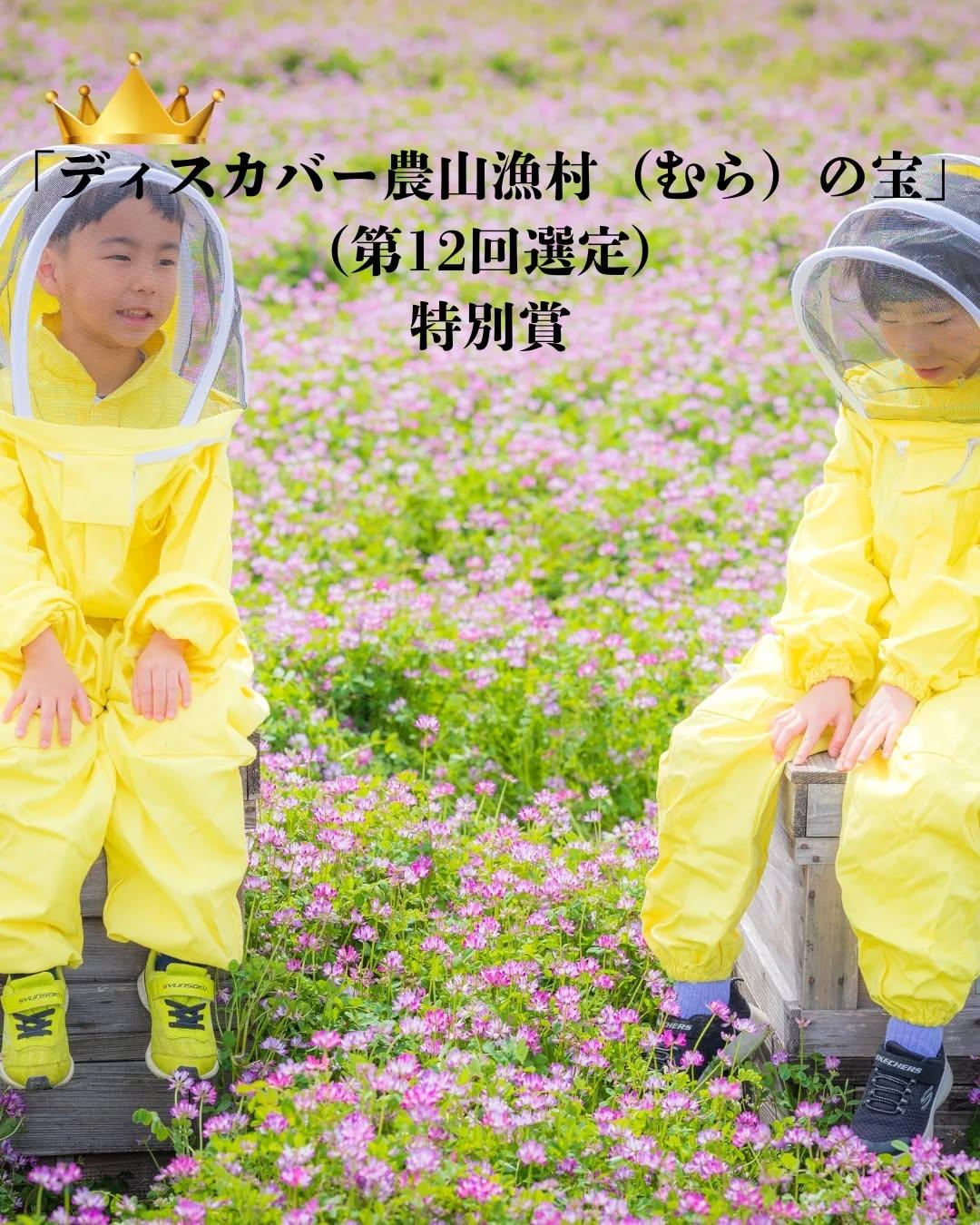 最新情報画像