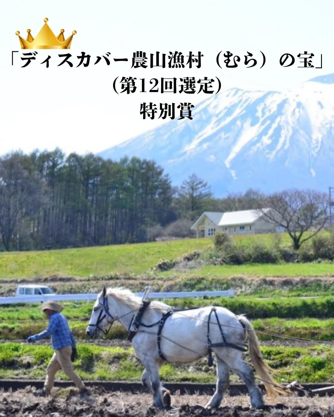 最新情報画像