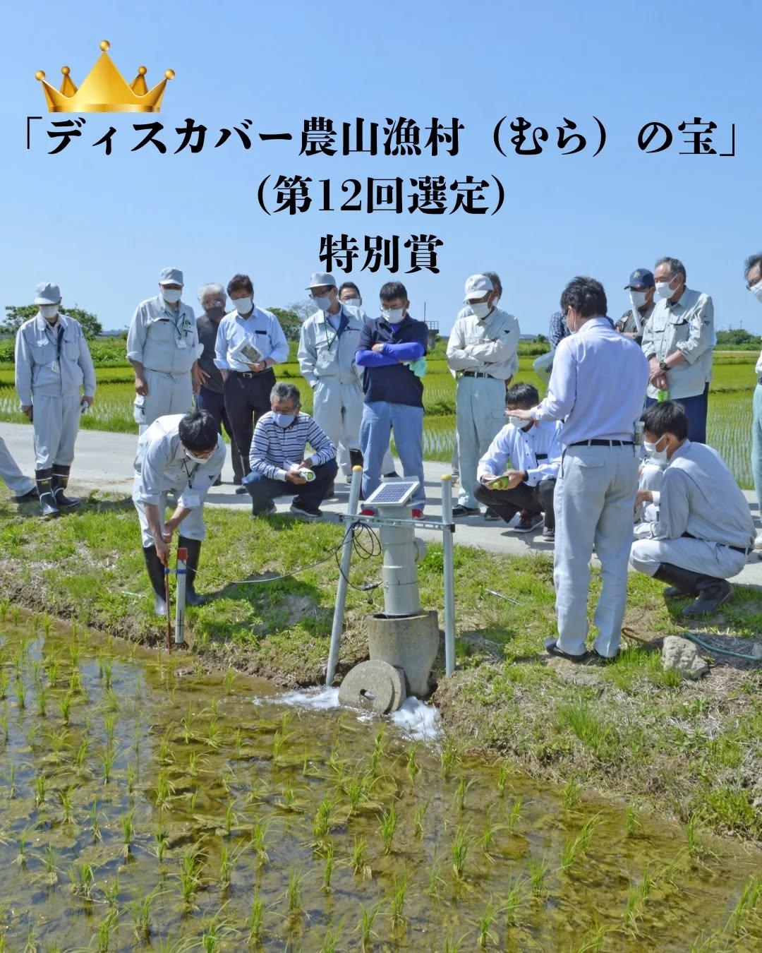 最新情報画像