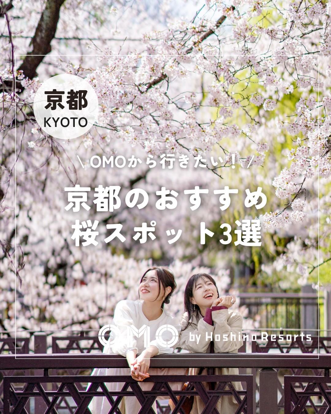 最新情報画像