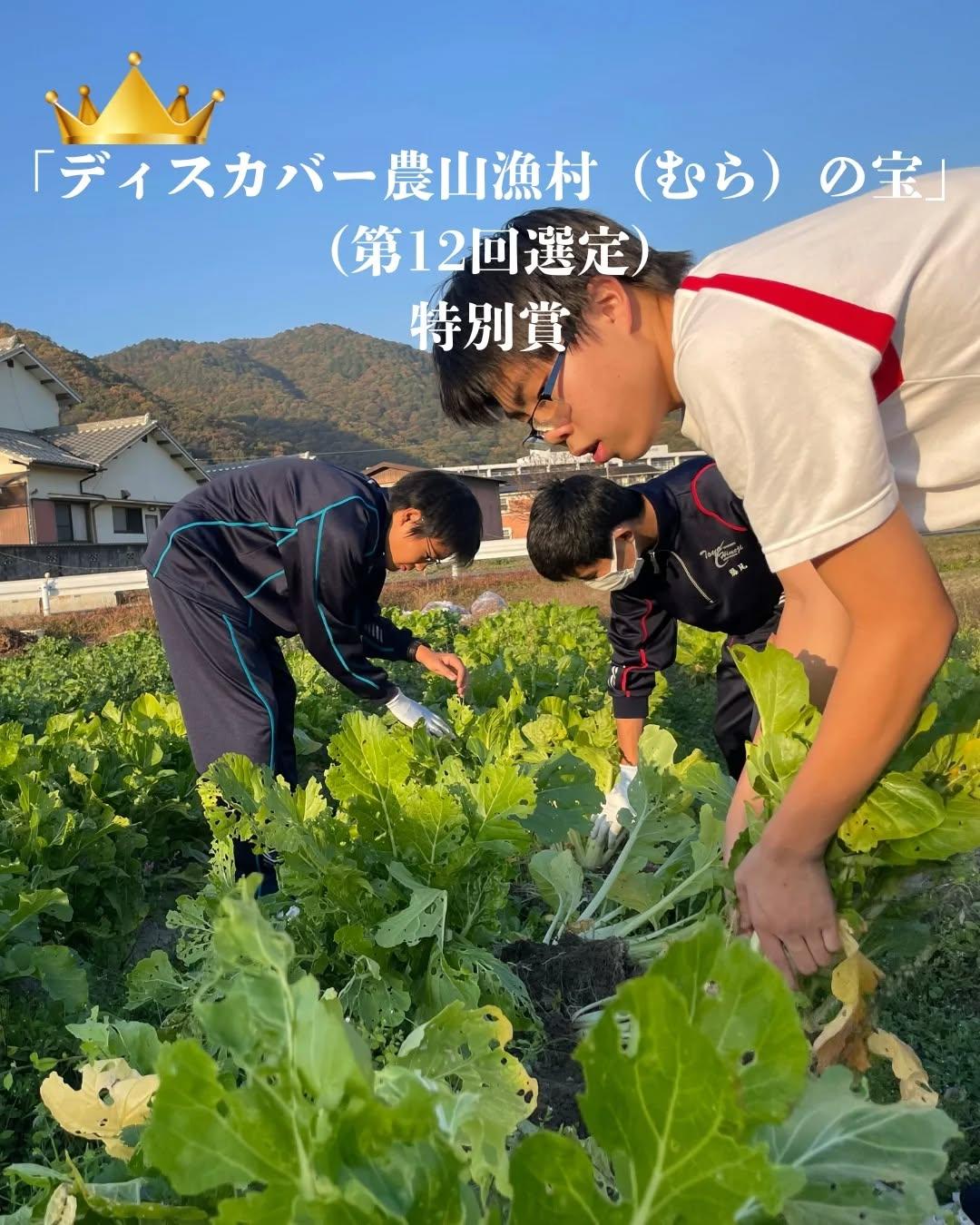 最新情報画像