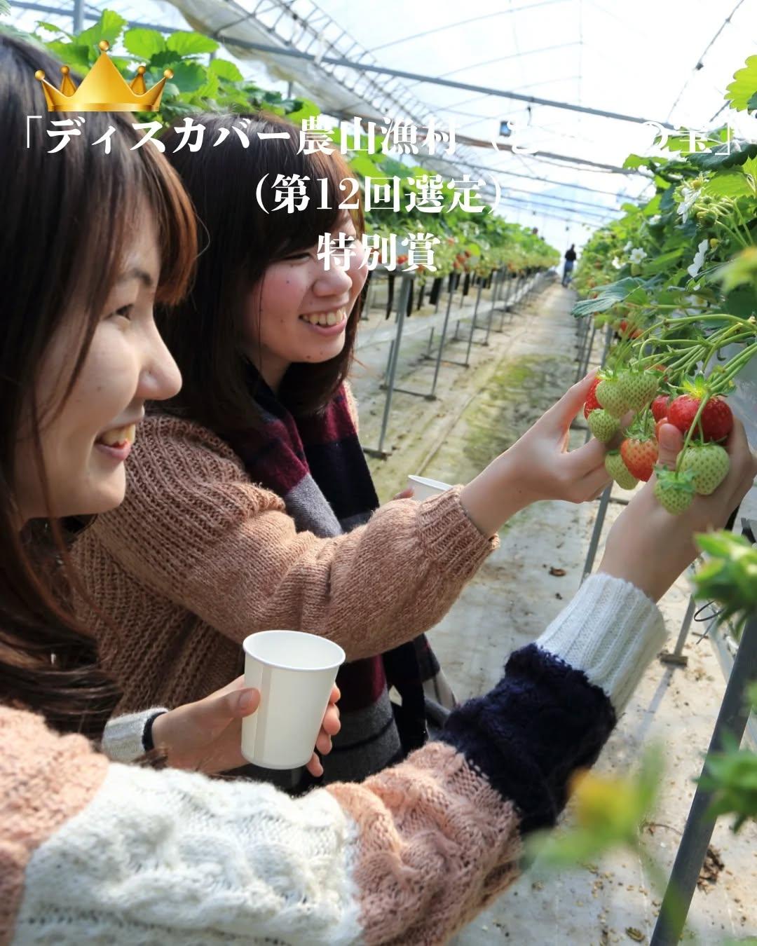 最新情報画像