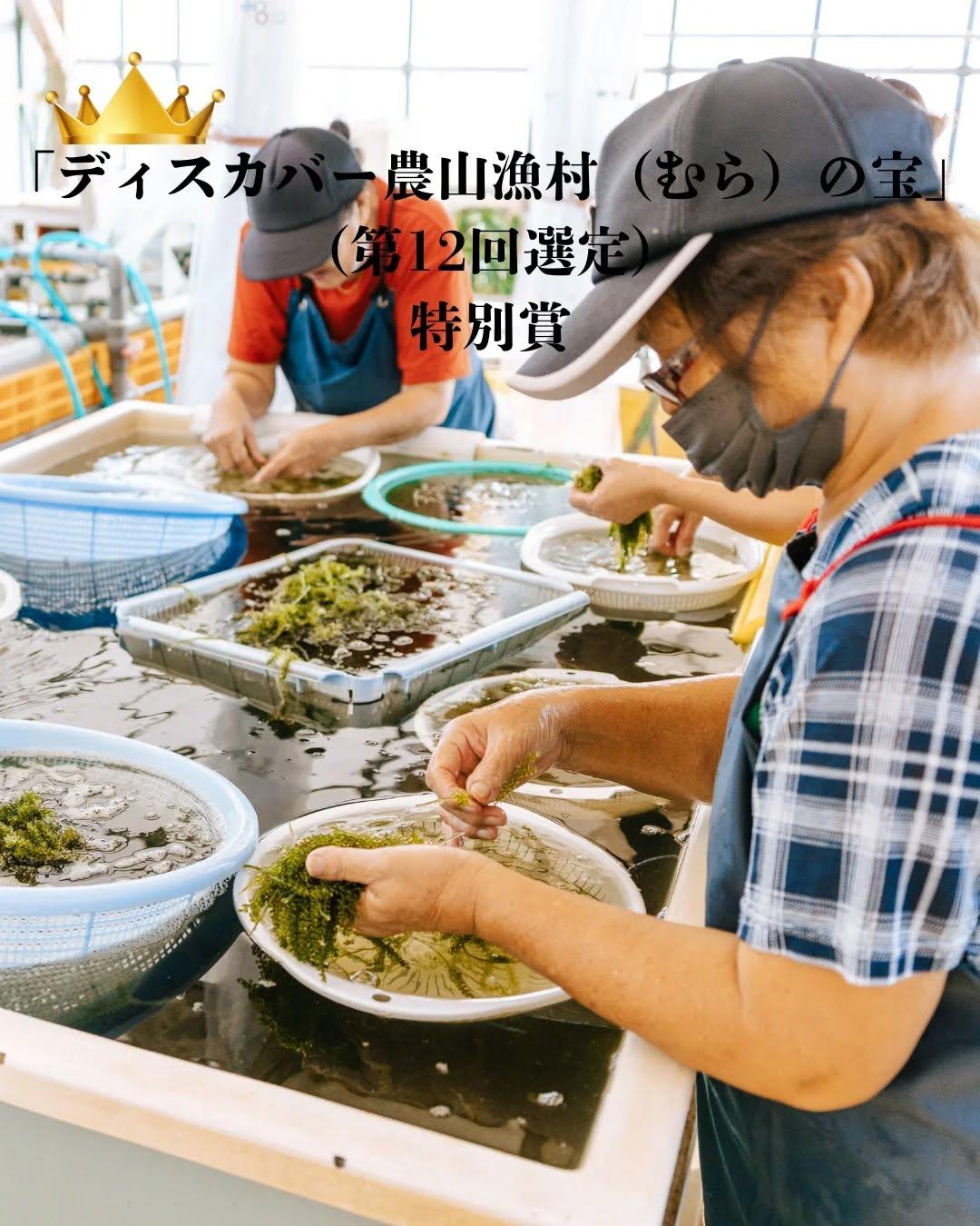 最新情報画像