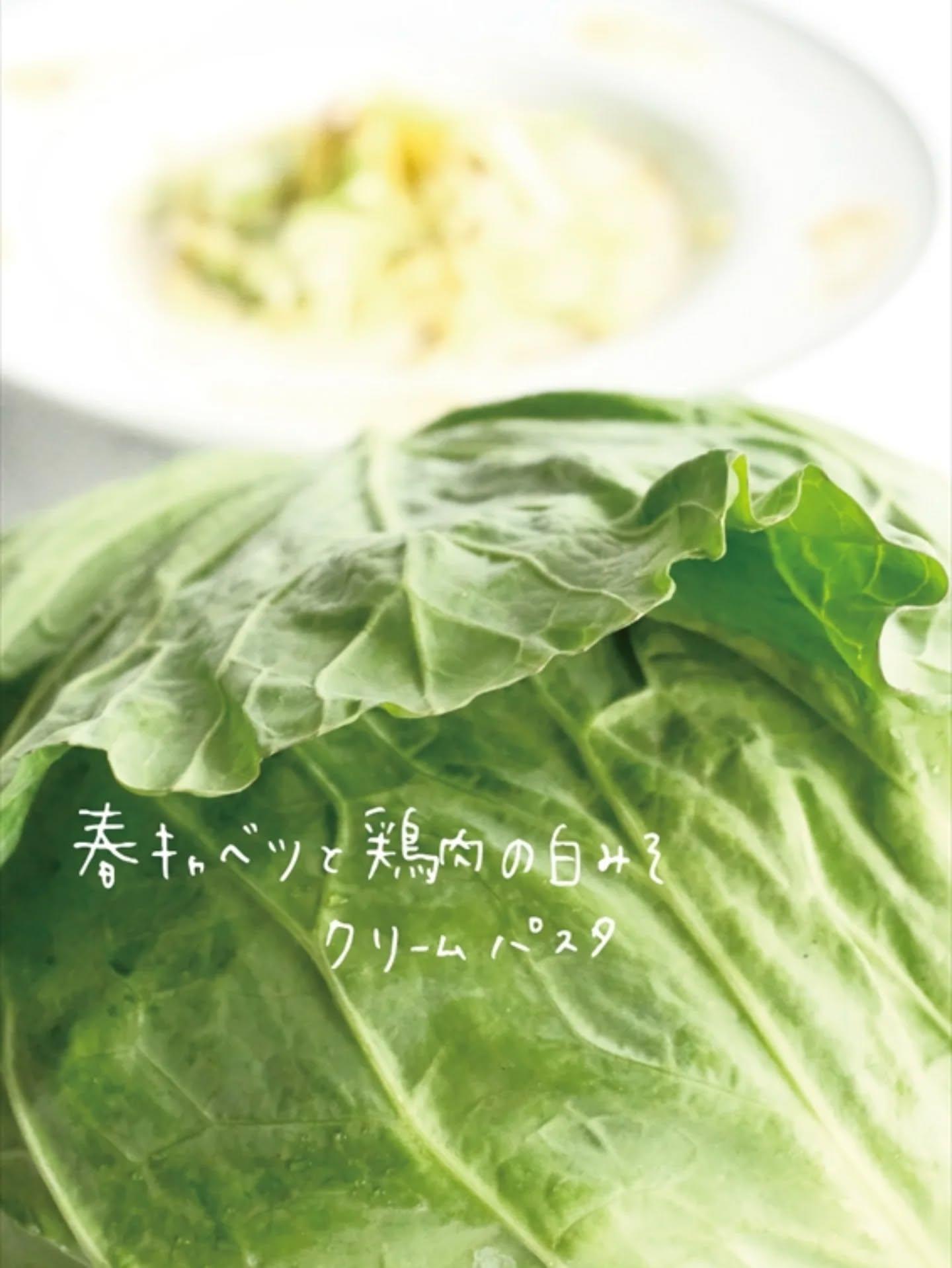 最新情報画像