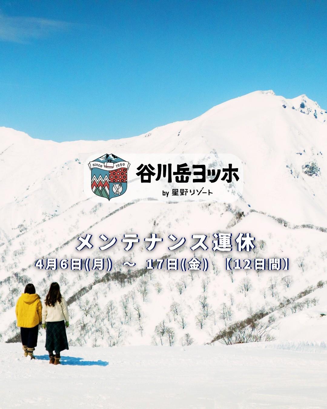 最新情報画像