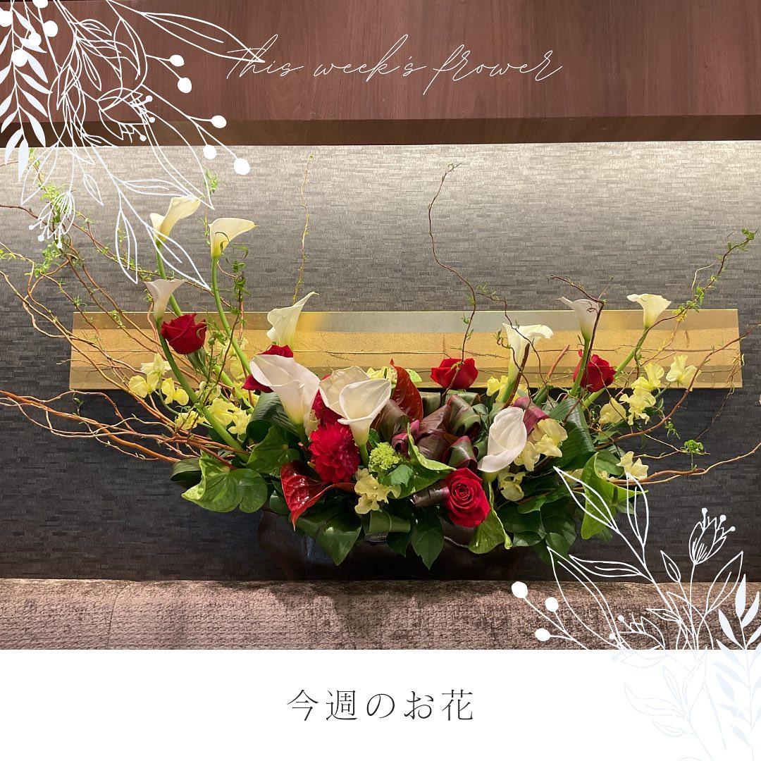 最新情報画像