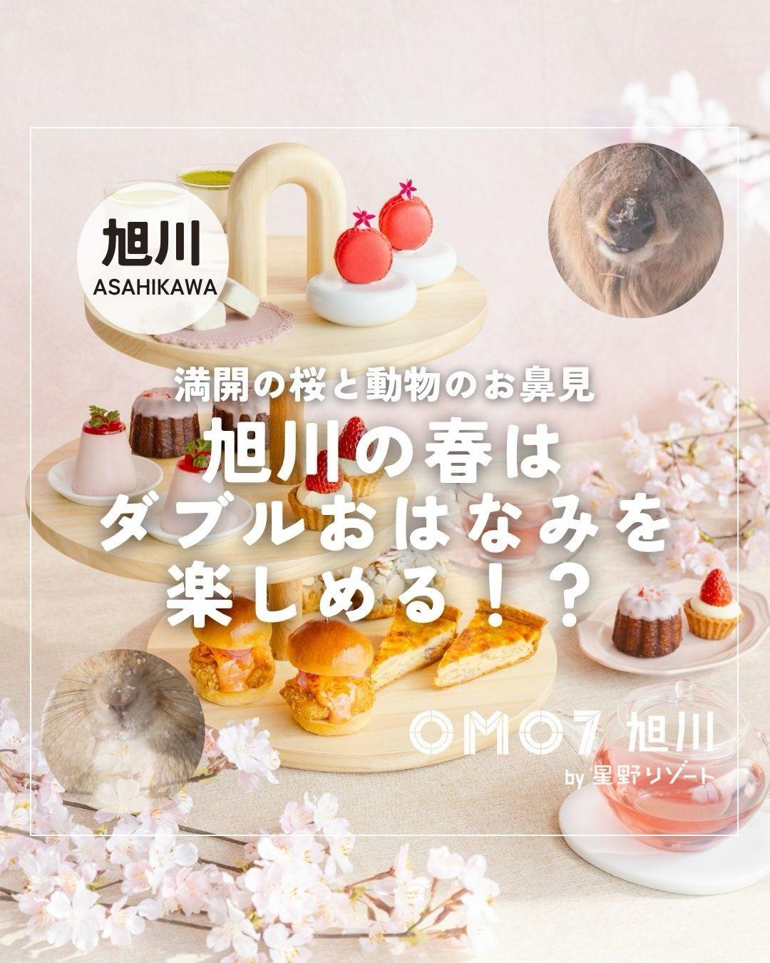 最新情報画像