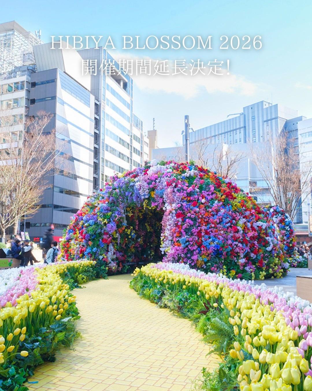 最新情報画像