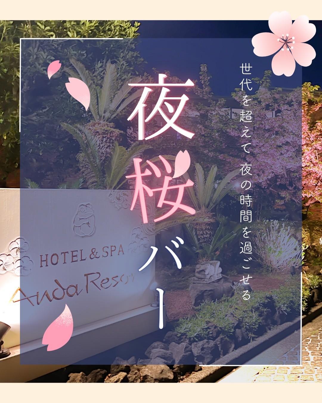 最新情報画像