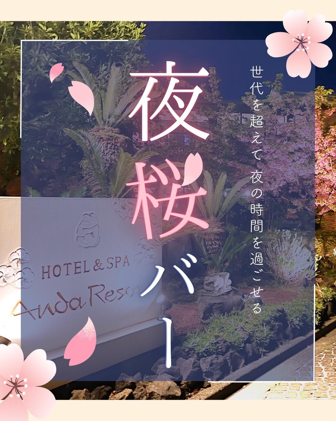 最新情報画像