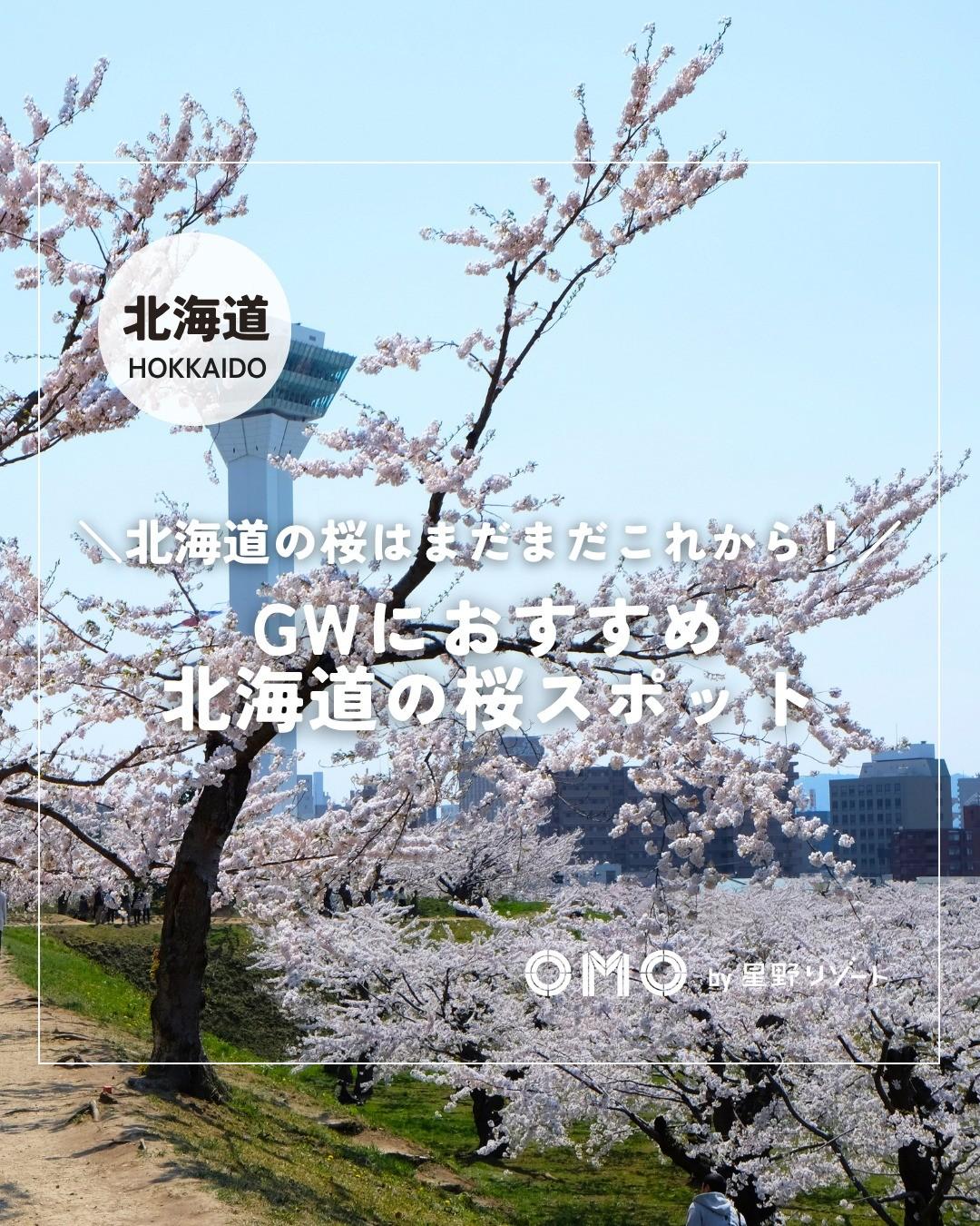 最新情報画像