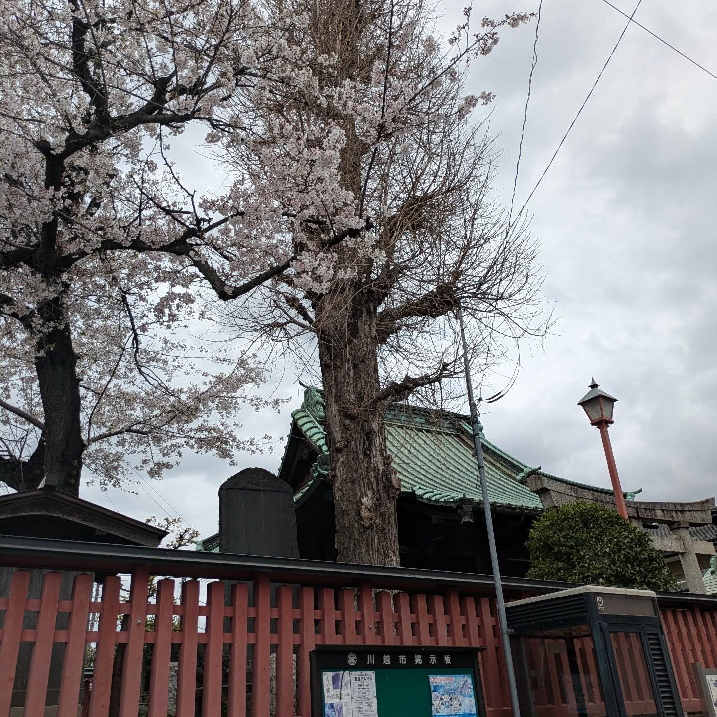 最新情報画像
