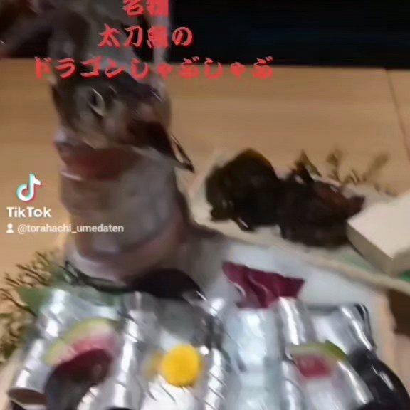 最新情報画像