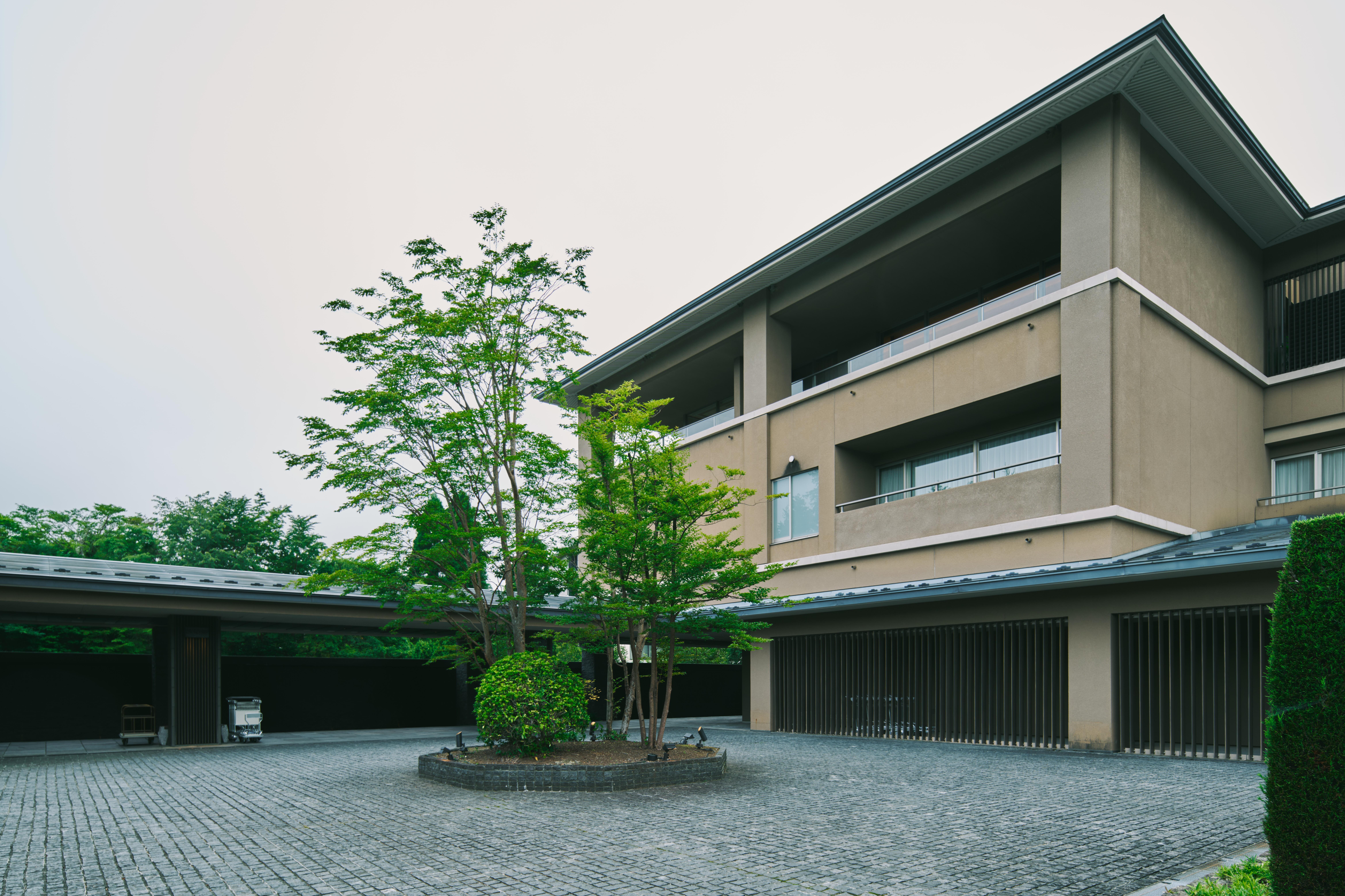 最新情報画像