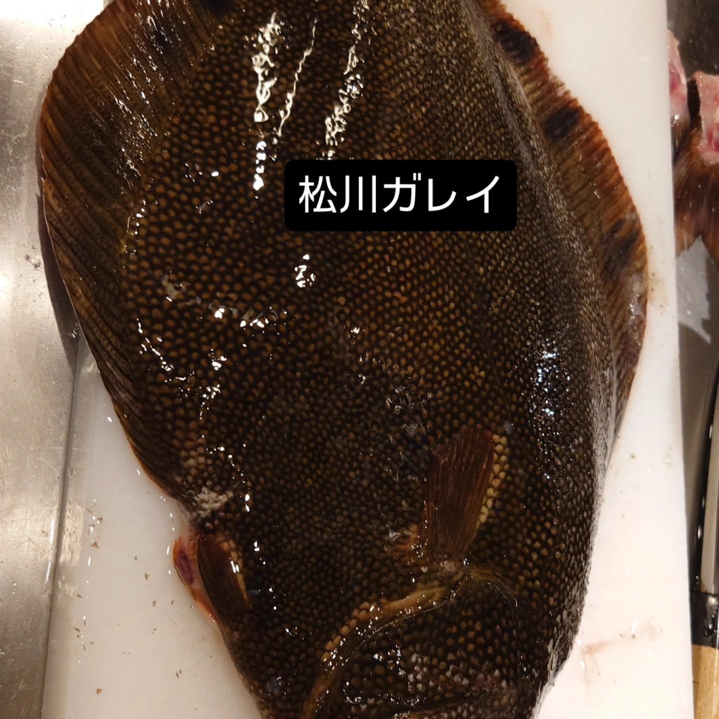 最新情報画像