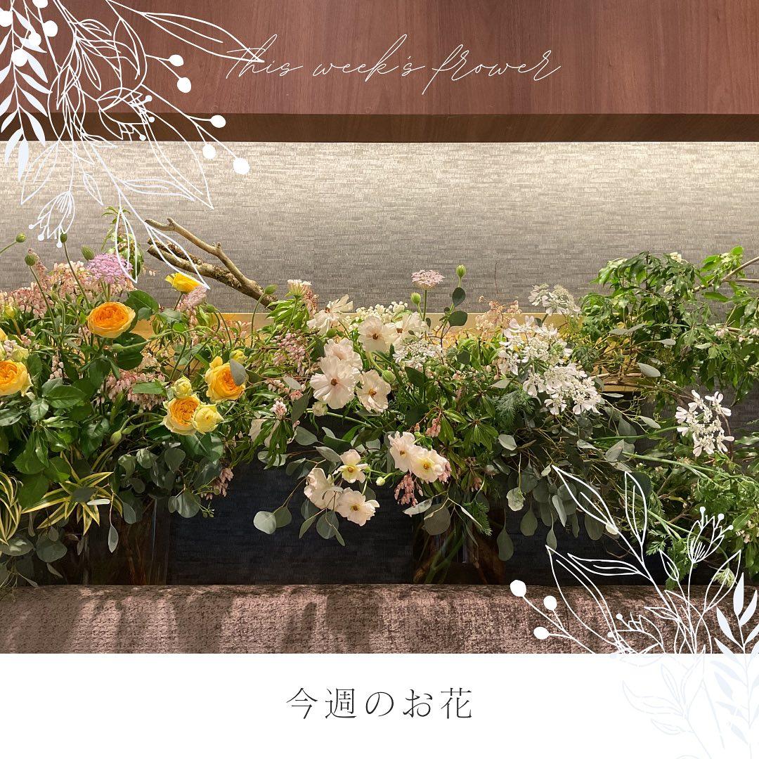最新情報画像