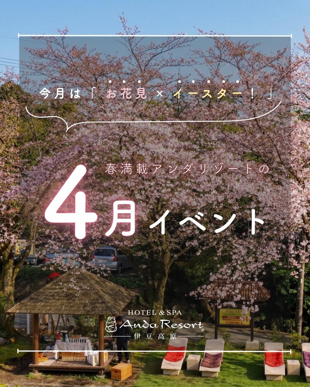 最新情報画像