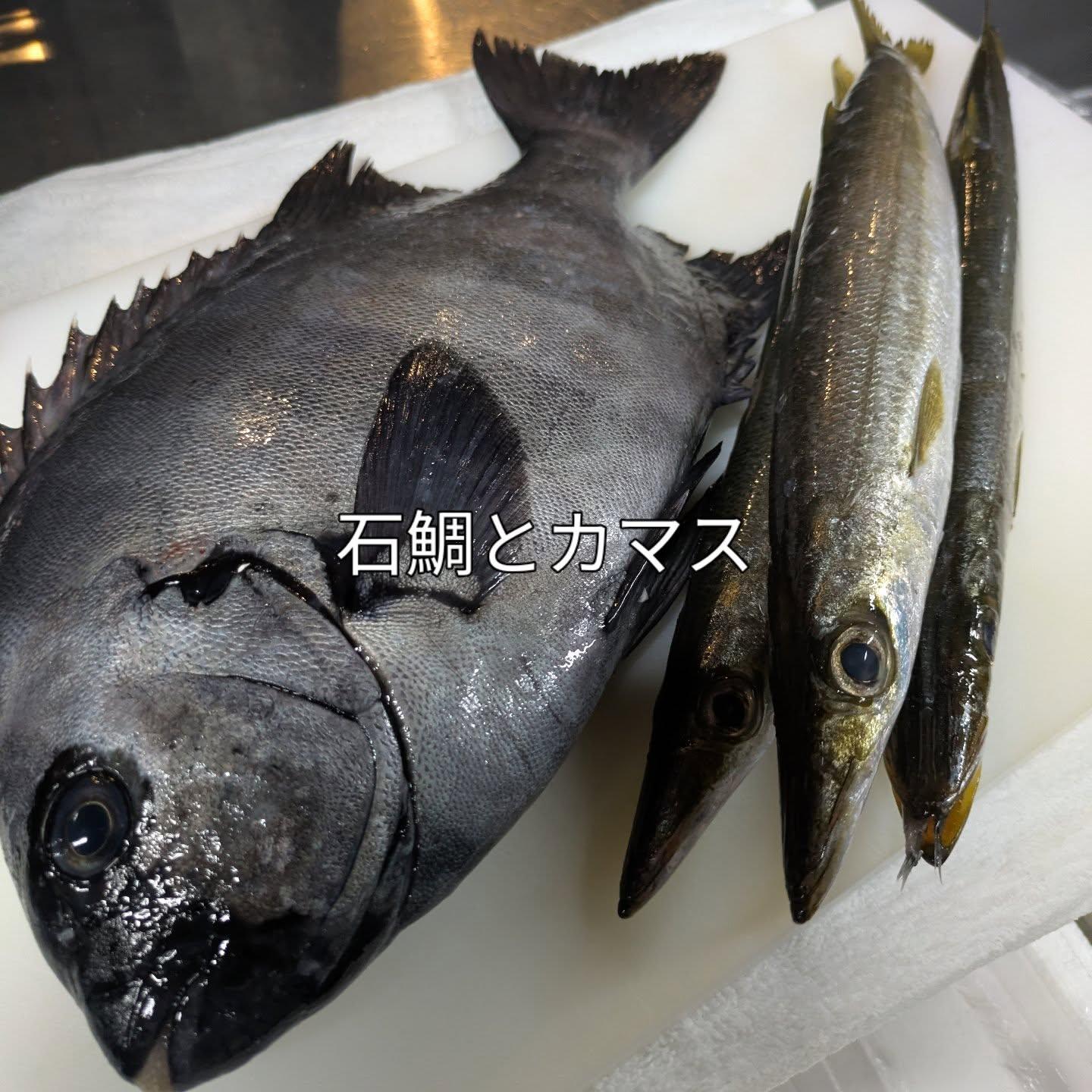 最新情報画像