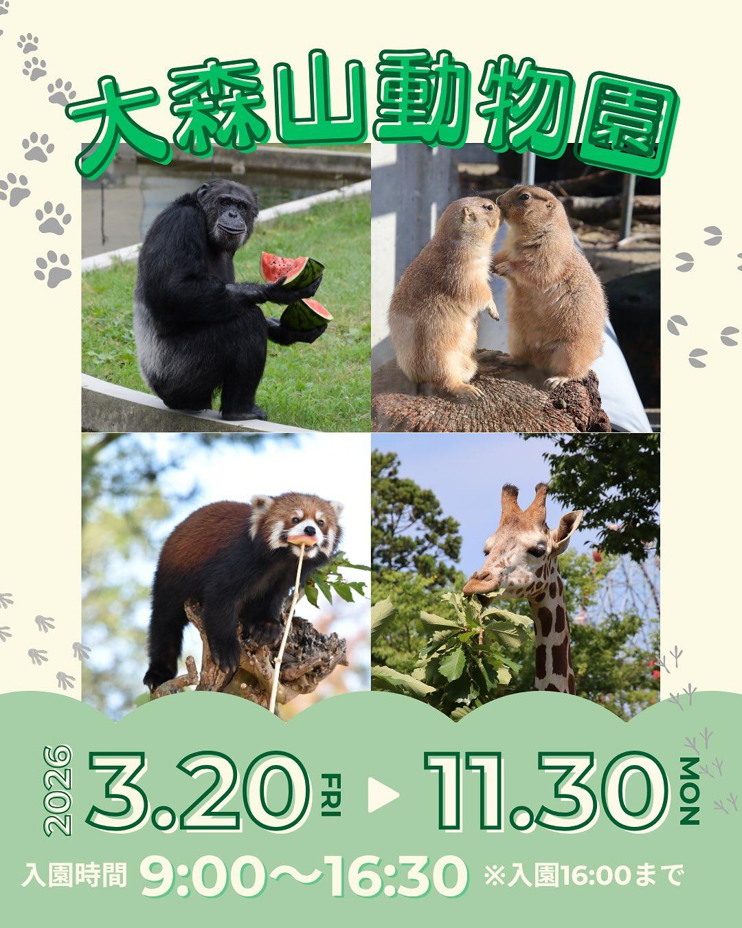 最新情報画像