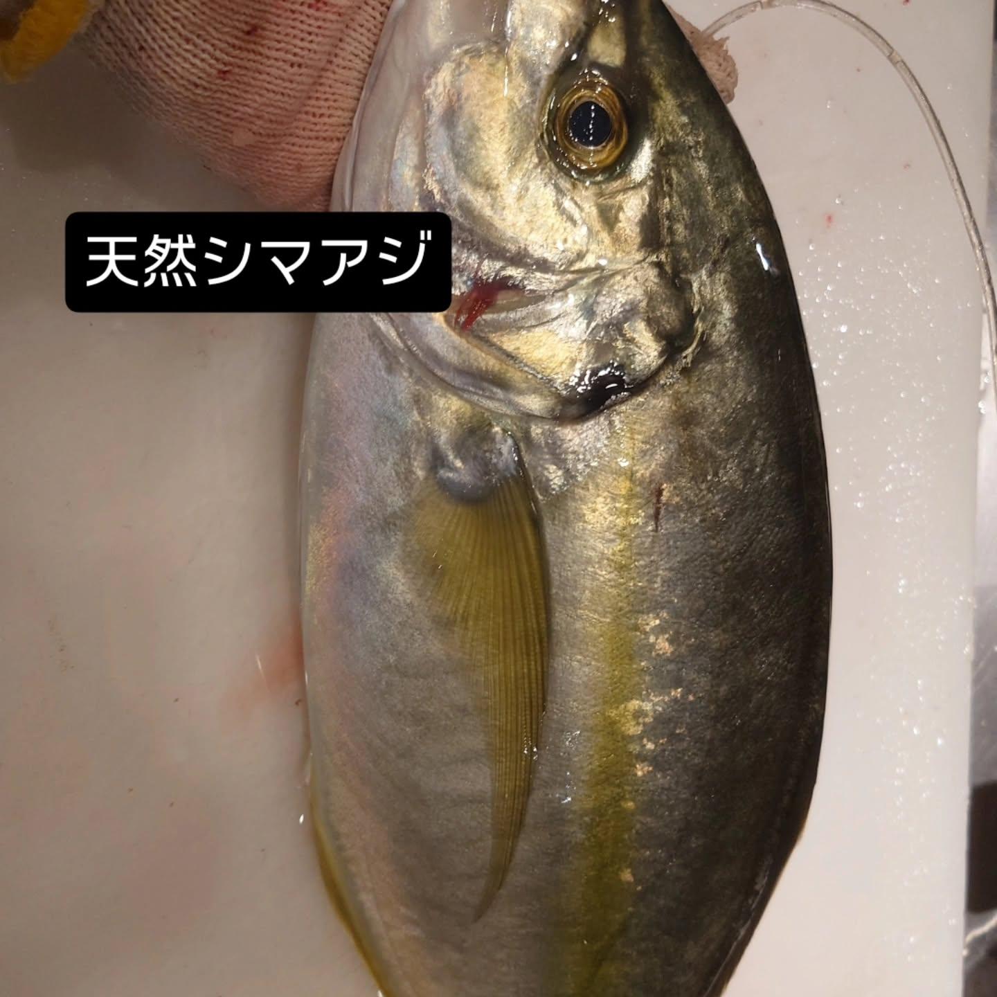 最新情報画像