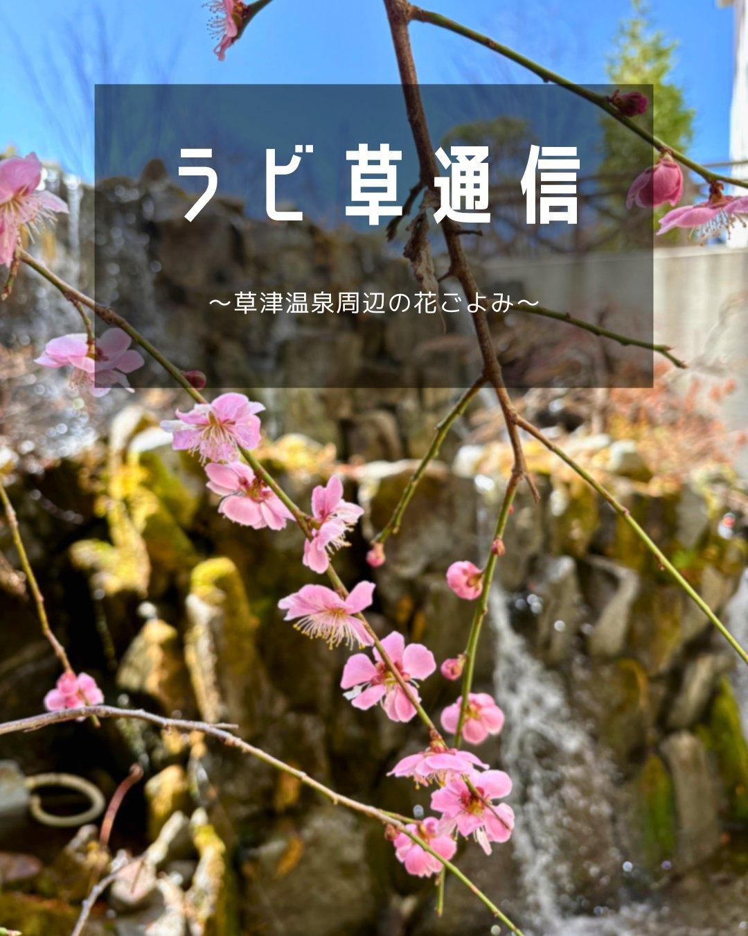 最新情報画像