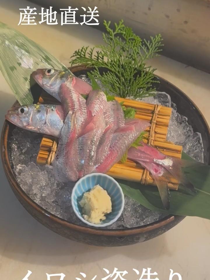 最新情報画像