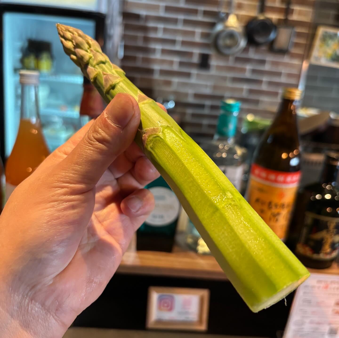 最新情報画像