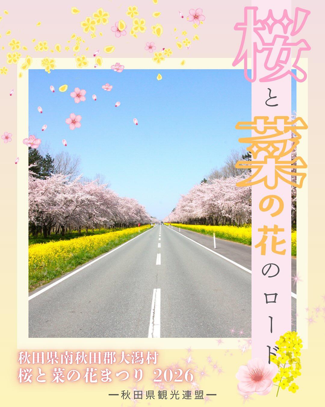 最新情報画像