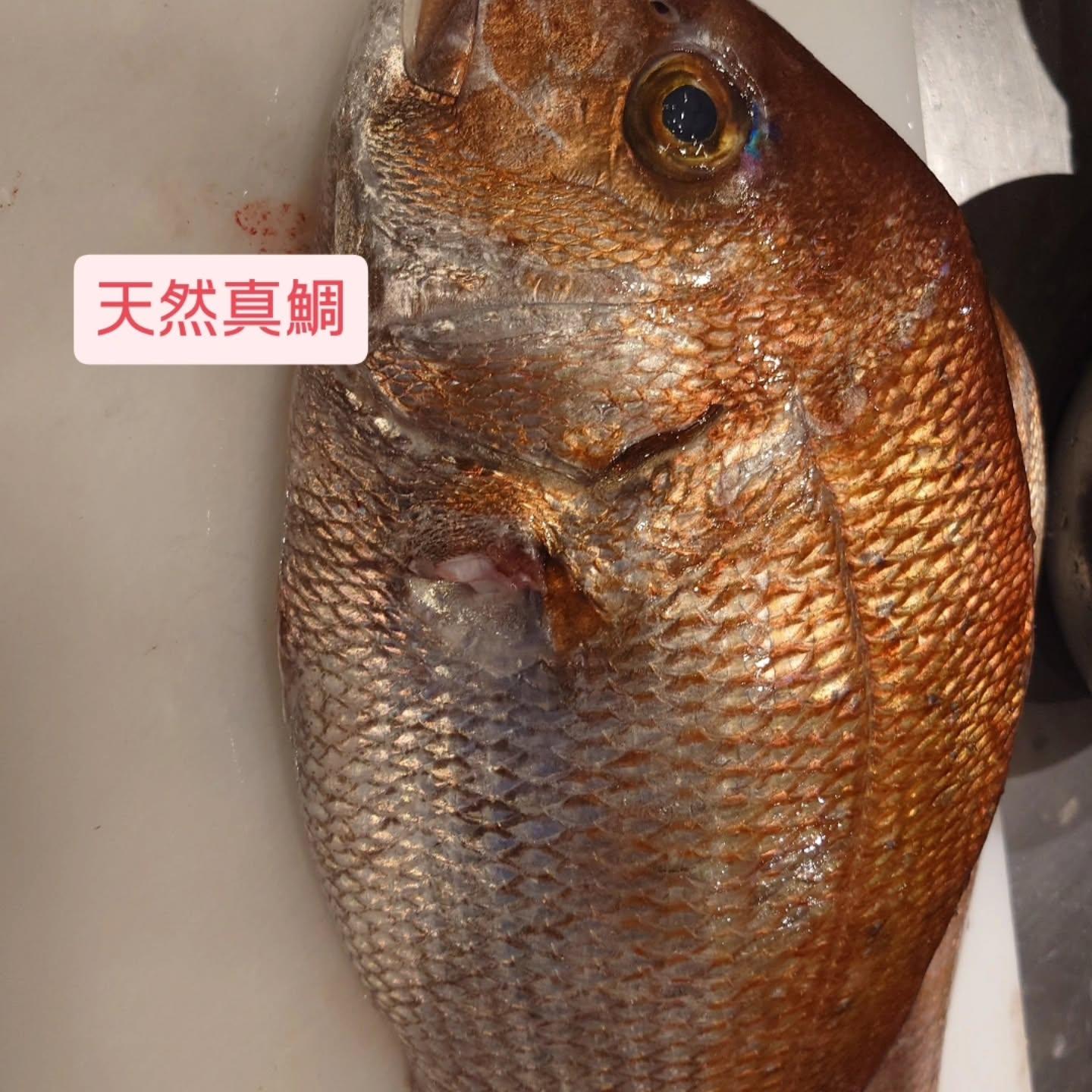 最新情報画像