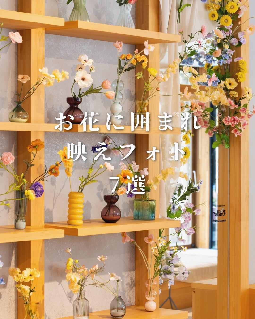 最新情報画像