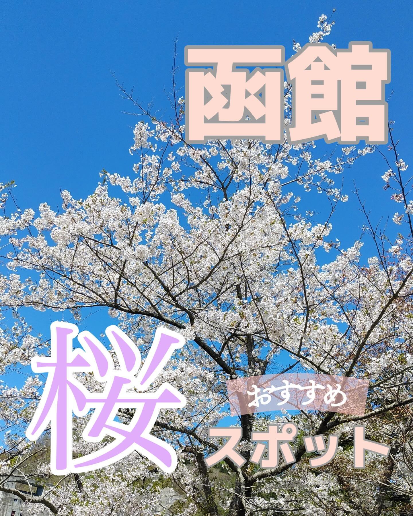最新情報画像