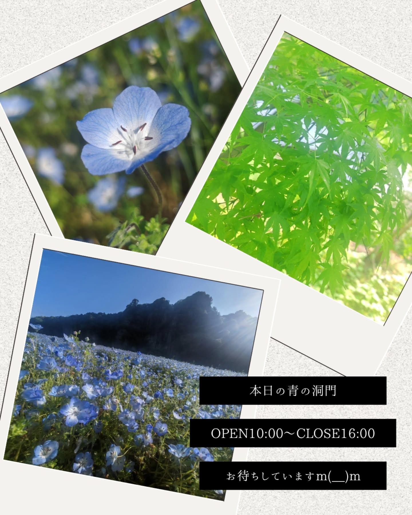 最新情報画像