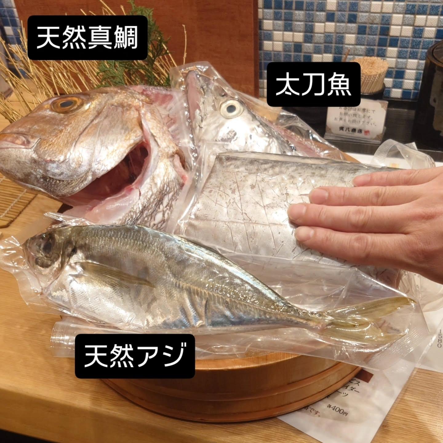 最新情報画像